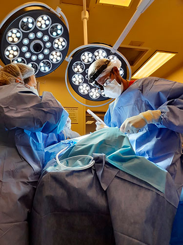 carrusel-web-mirave-1